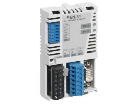 FEN-31