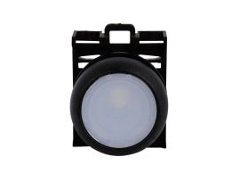 M22S-DL-W